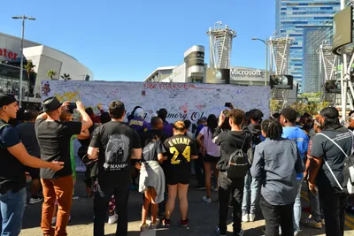 DSC_7154 (Large).JPG